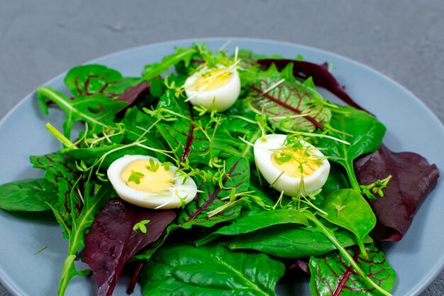 Quail eggs boiled on a lettuce leaf with microgreen sprouts Proper nutrition Vegan food