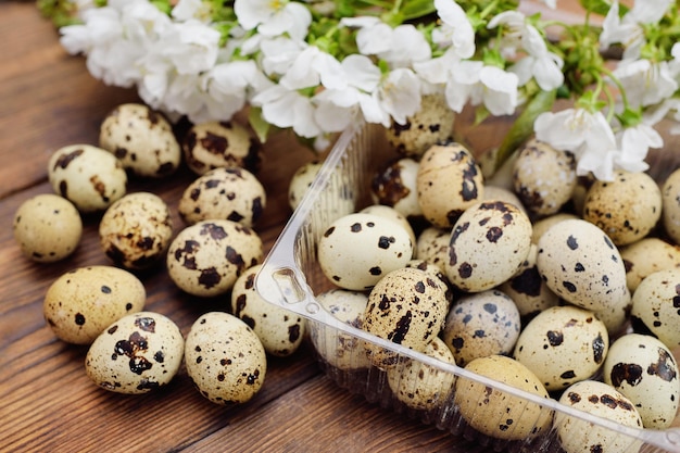 Quail eggs closeup on a wooden table against the background of a flowering branch