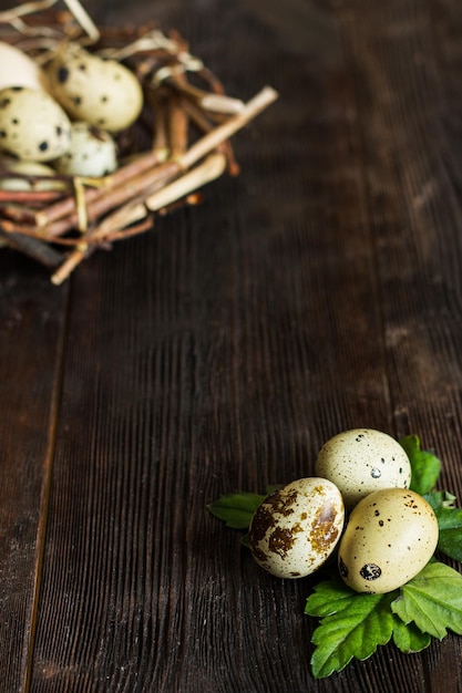 Quail eggs on a dark wood background Rustic style photography