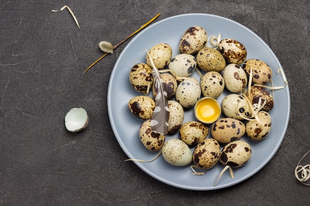 Quail eggs on gray plate. Broken egg on plate. Bird feather. Flat lay. Copy space