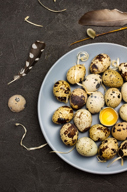 Quail eggs on gray plate. Broken egg on plate. Bird feather. Flat lay.