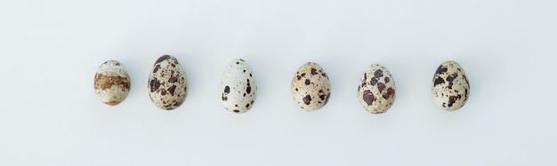 Quail Eggs Isolated on White Background