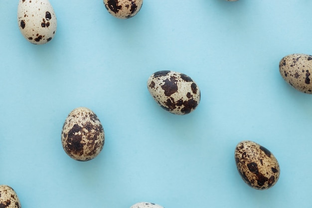 Quail eggs on light blue background copy space