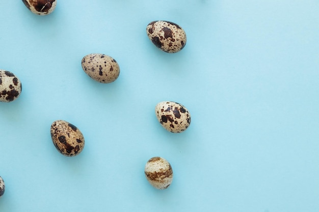 Quail eggs on light blue background copy space