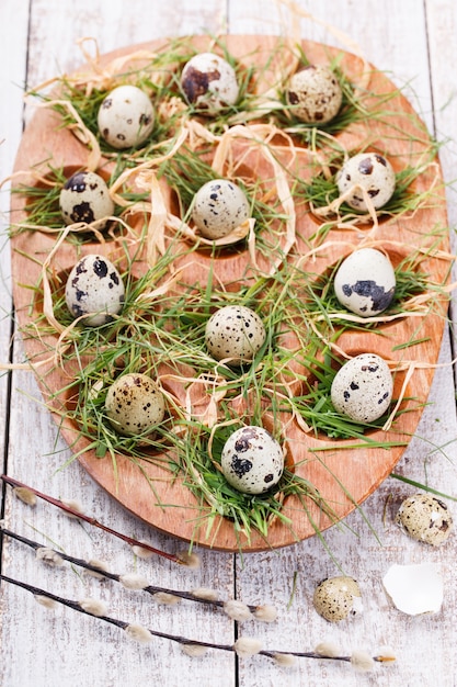 Quail eggs in the nest and the grass 