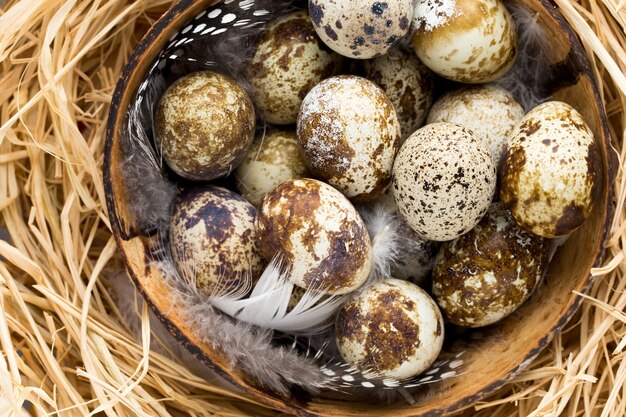 Quail eggs in the nest, a symbol of spring.