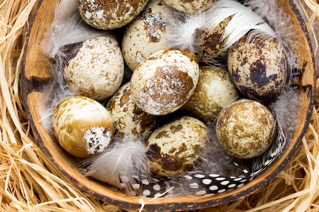 Quail eggs in the nest, a symbol of spring.