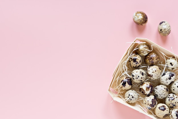 Quail eggs on pastel pink surface