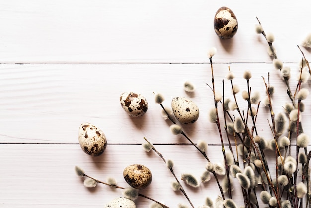 Quail eggs and pussy willow branches on white wooden background easter 2