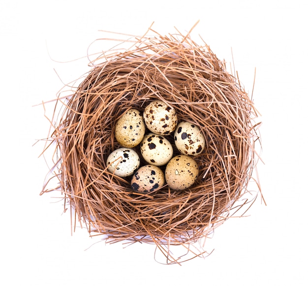 Photo quail eggs in a straw nest