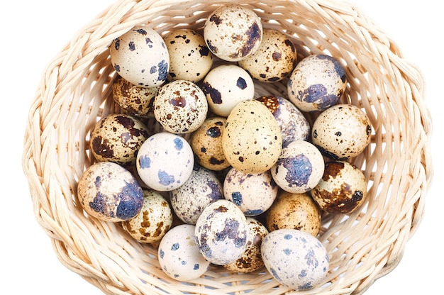 Quail eggs on a white background