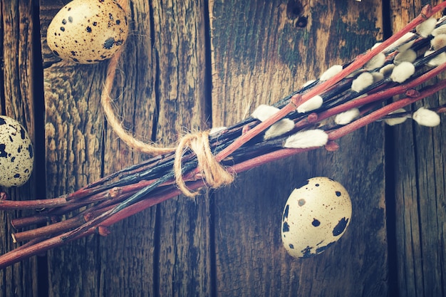 Quail eggs and willow,a symbol of Easter 