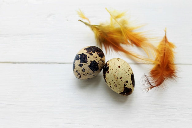 Quail eggs with orange feathers on wooden background. Easter holiday background.