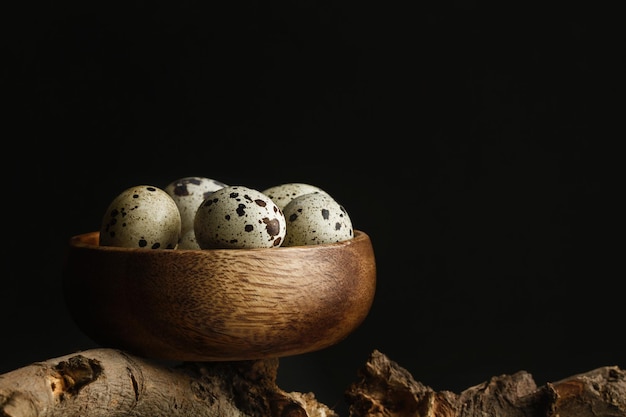 Quail eggs in a wooden bowl on a tree branch and on a black background with copy space