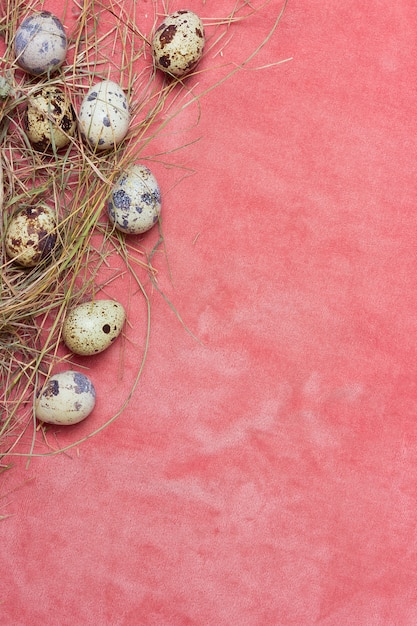 Quail natural eggs with hay on a delicate pink fabric background. Top view