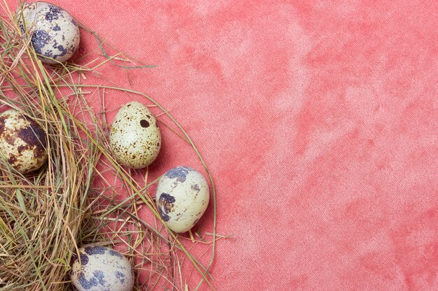 Quail natural eggs with hay on a delicate pink fabric background. Top view