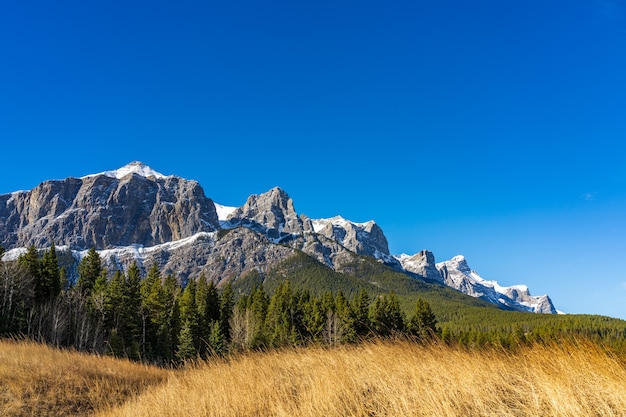 Quarry Lake Park in late autumn. Snow capped Mount Rundle mountains in the background.