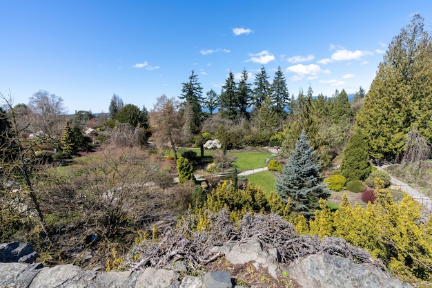 Queen Elizabeth park quarry gardens in sunny day beautiful flowers in full bloom Vancouver BC