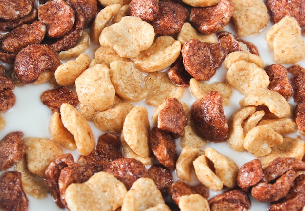 Quick breakfast cornflakes in milk close up