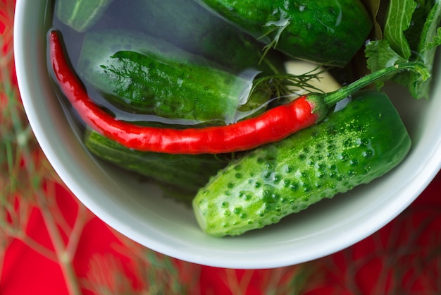 Quick pickled cucumbers with red pepper is authentic food of traditional russian, poland, ukrainian cuisine, bright green half-sour dill pickle with paprika and fennel dill on red 