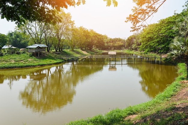 Quiet river on the countryside