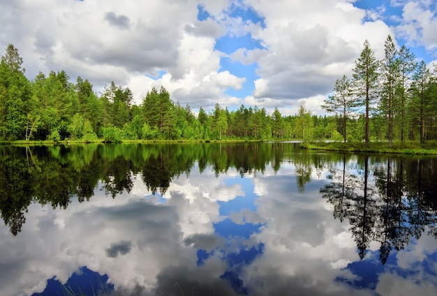 Quiet smooth beautiful lake in Karelia Cloudy blue sky Forest with trees and firtrees