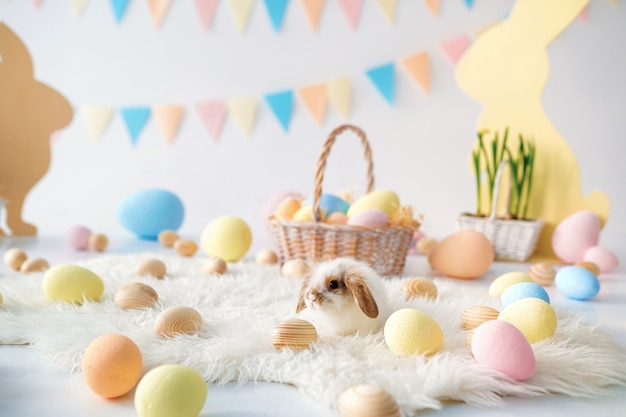 Rabbit in Easter room with Easter eggs