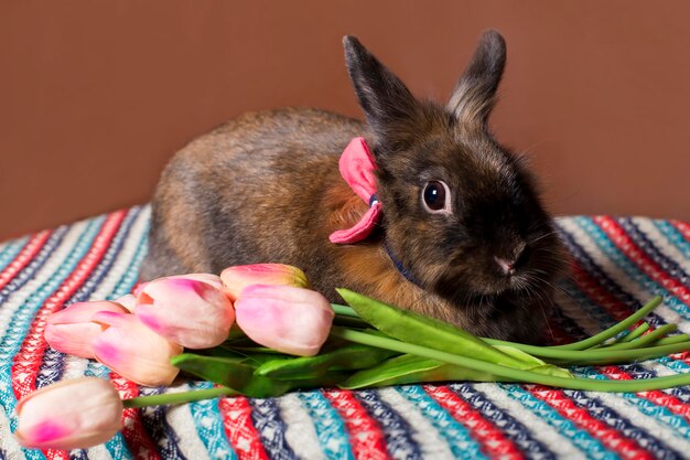 Rabbit with flowers spring Easter