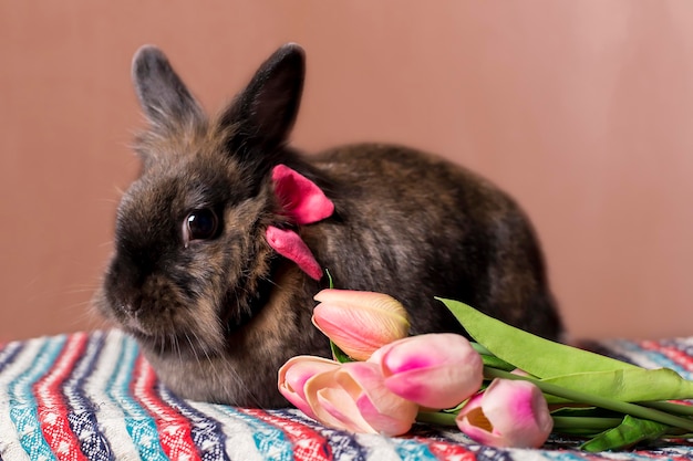 Rabbit with flowers spring Easter