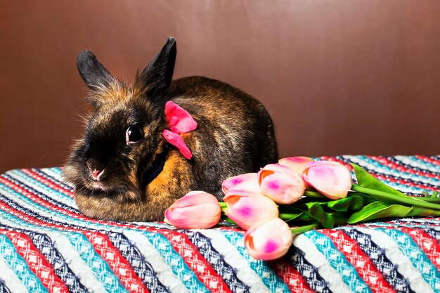 Rabbit with flowers spring Easter