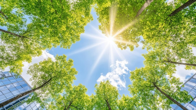 Photo under a radiant spring sky sunlight filters through green treetops between tall buildings while fluffy clouds drift creating a lively and refreshing atmosphere