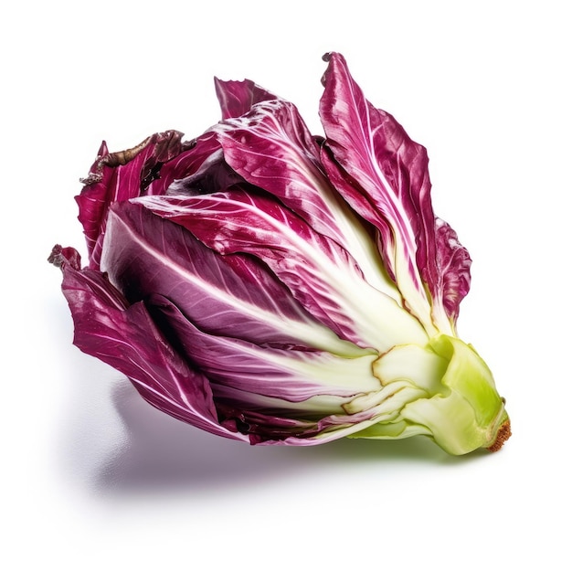 Radicchio isolated on white background generative AI