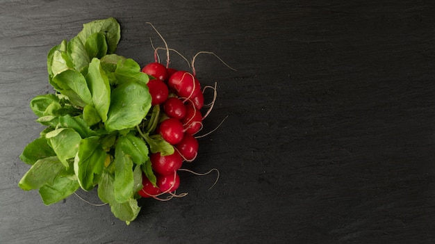 Radis Bunch, Fresh Radish Root Bundle, Pile of Red Radishes