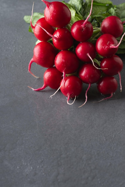 Radish bunch on grey stone background