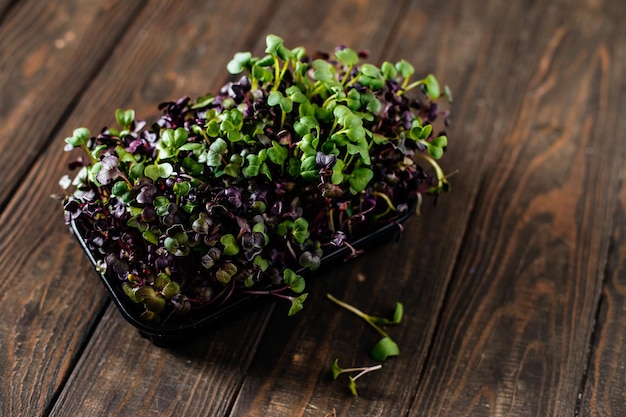 Radish microgreens on a wooden table