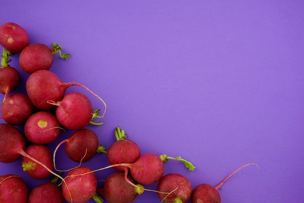 Radish root vegetable flat lay on purple background.