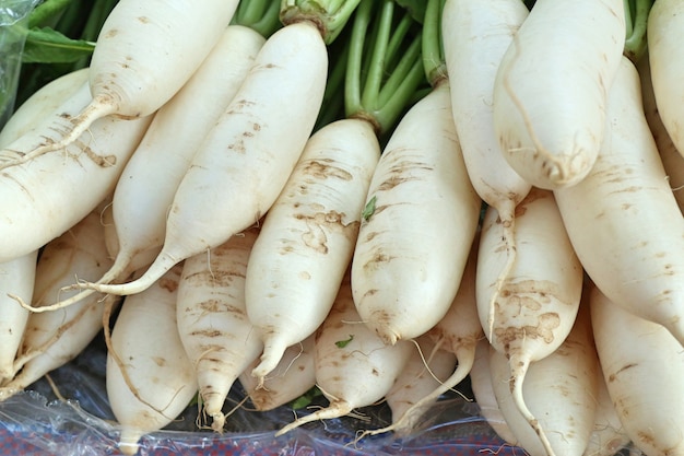 radish at street food