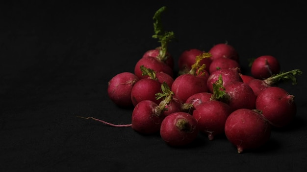 Radishes on black background with copy space. Dark food