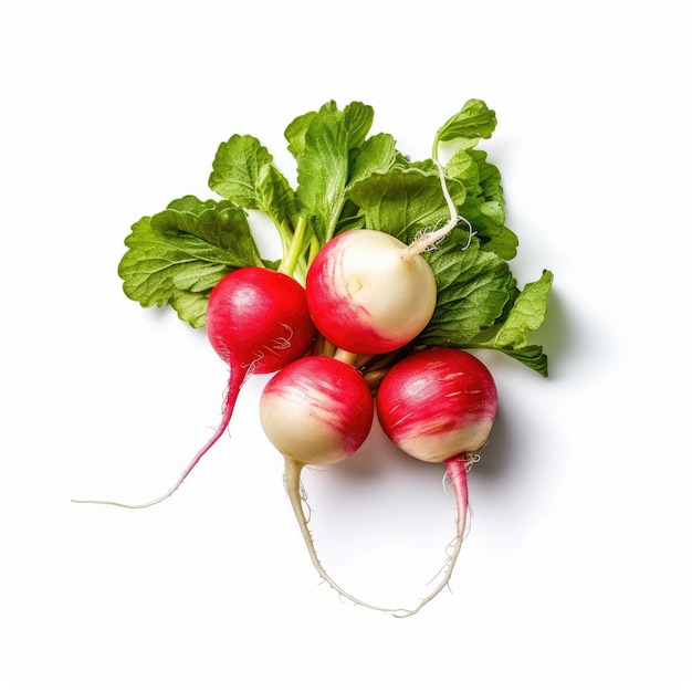 Radishes Vegetable isolated on white background