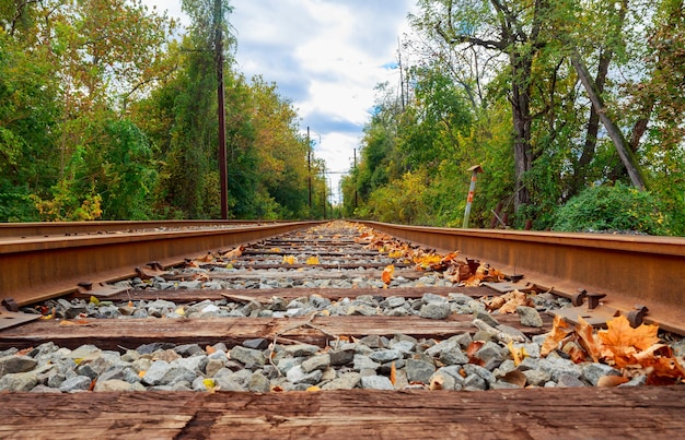 Railroad to horizon in autumn Autumn Railway nature journey road landscape