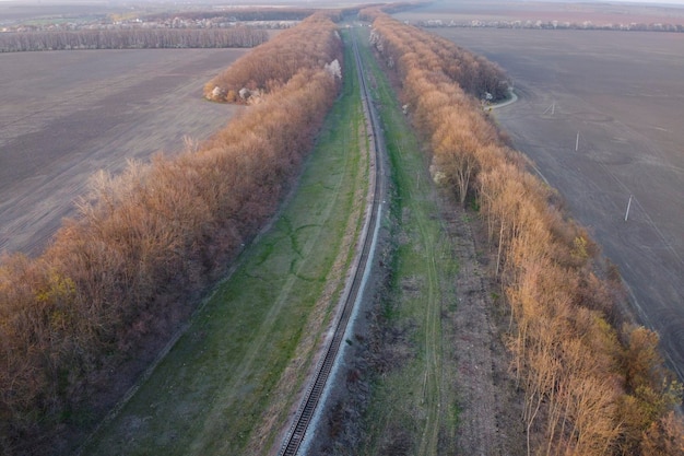 Railroad track green grass along the road and tree planting without leaves in spring