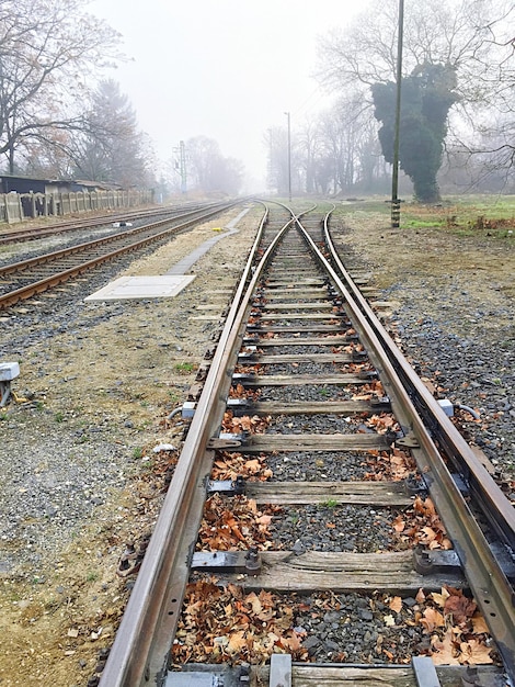 Railroad tracks by field