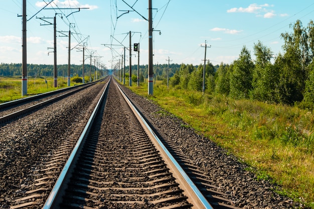 Railroad tracks close-up on the forest background