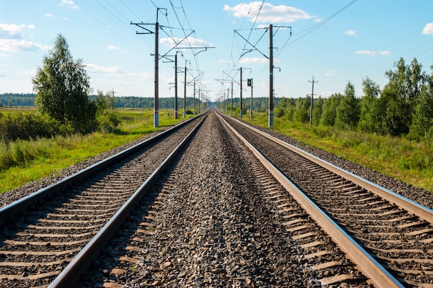 Railroad tracks, field and forest