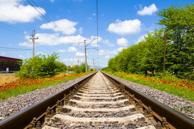 Rails view in Georgia, train road and station, lines and horizon with poppy and yellow flower field