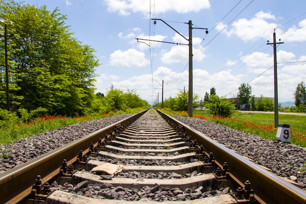 Rails view in Georgia, train road and station, lines and horizon with poppy and yellow flower field