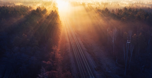 Railway autumn forest dawn view from a height