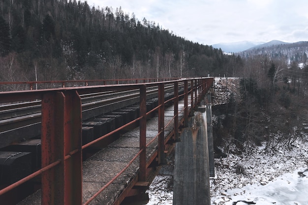 Railway bridge among snowy mountains. Travels. Transport.