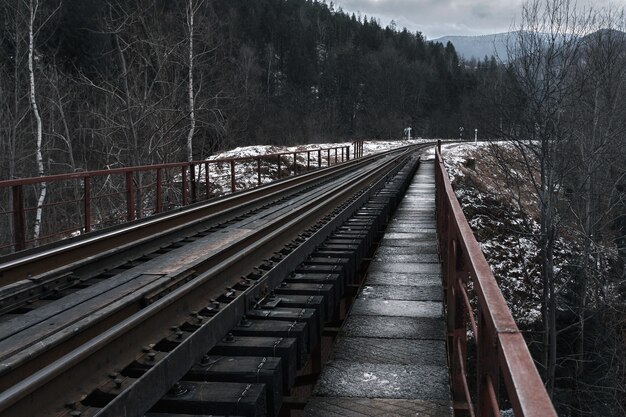 Railway bridge among snowy mountains. Travels. Transport.