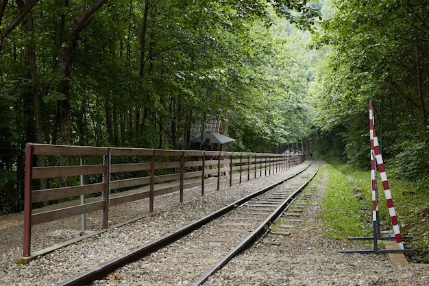 Railway in the forest, summer in the rainforest